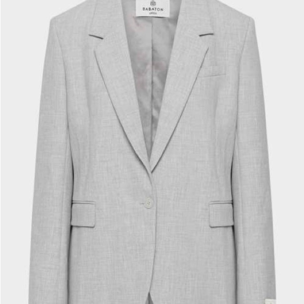Babaton Producer Blazer in Heather Chrome